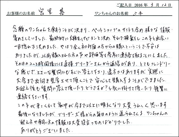 コッカーお客様の声