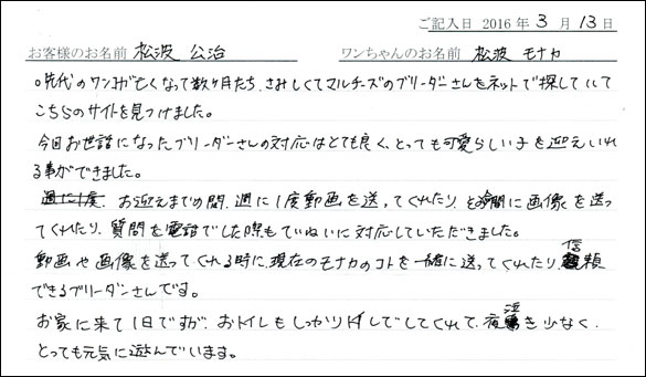 コッカーお客様の声