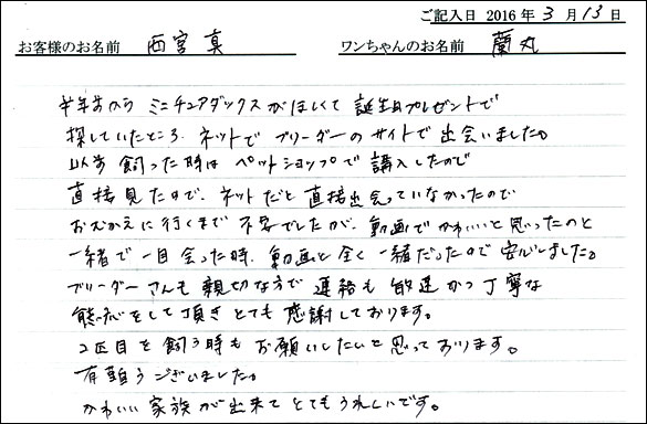 コッカーお客様の声