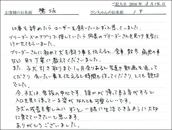 コッカーお客様の声