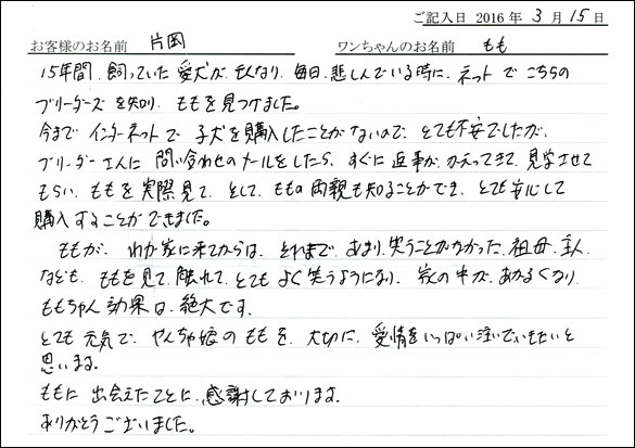 コッカーお客様の声