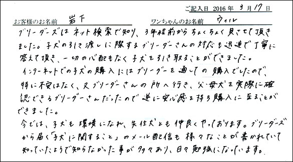 コッカーお客様の声