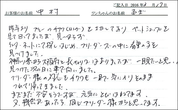 コッカーお客様の声