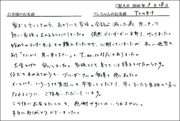 コッカーお客様の声