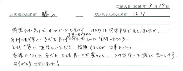 コッカーお客様の声