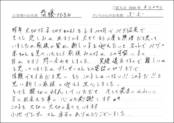 コッカーお客様の声