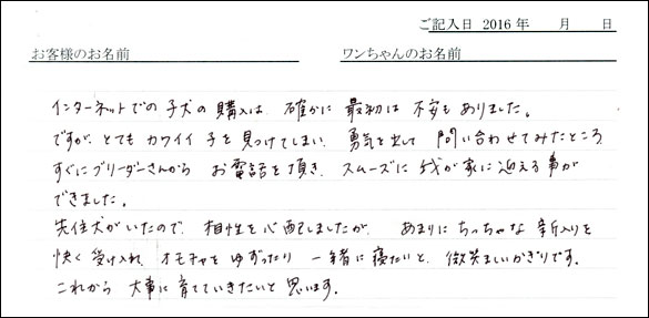 コッカーお客様の声