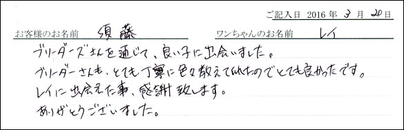 コッカーお客様の声