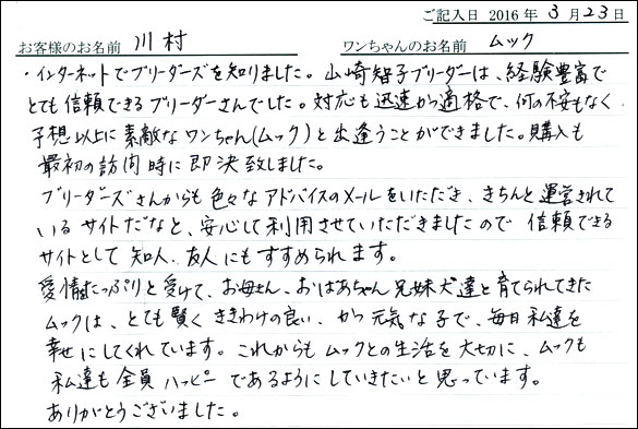 コッカーお客様の声