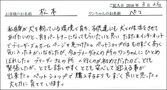 コッカーお客様の声