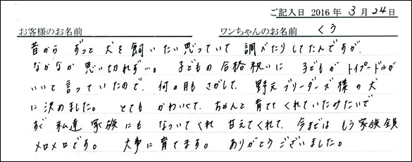 コッカーお客様の声
