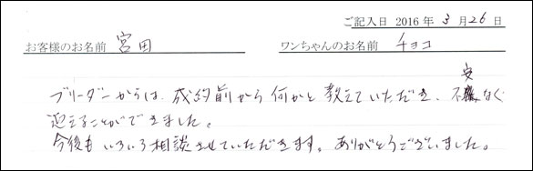 コッカーお客様の声