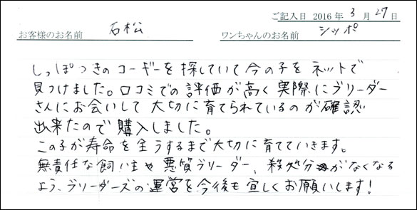 コッカーお客様の声