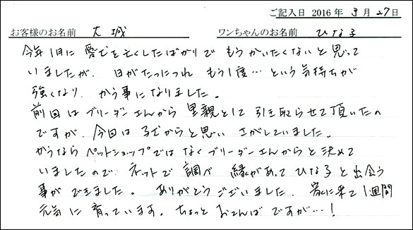 コッカーお客様の声
