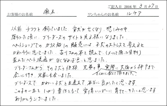 コッカーお客様の声