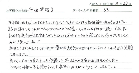 コッカーお客様の声