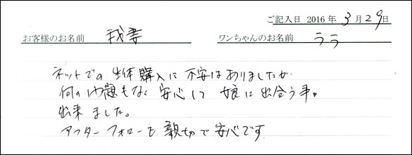 コッカーお客様の声