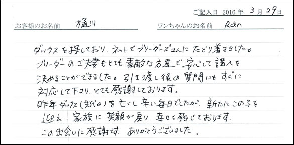 コッカーお客様の声