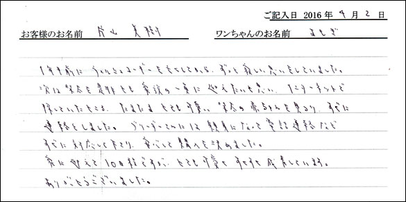 コッカーお客様の声