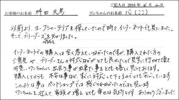 コッカーお客様の声