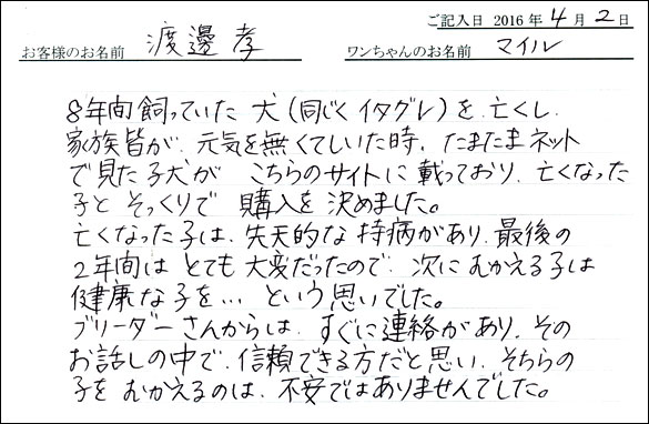 コッカーお客様の声