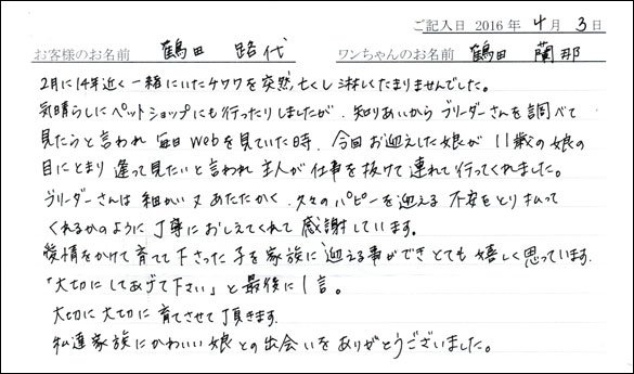 コッカーお客様の声
