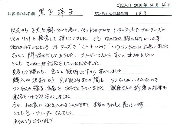 コッカーお客様の声