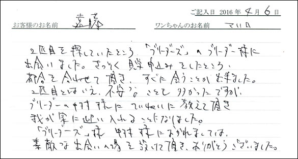 コッカーお客様の声