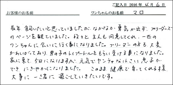コッカーお客様の声