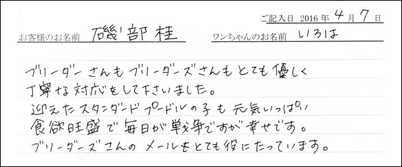 コッカーお客様の声