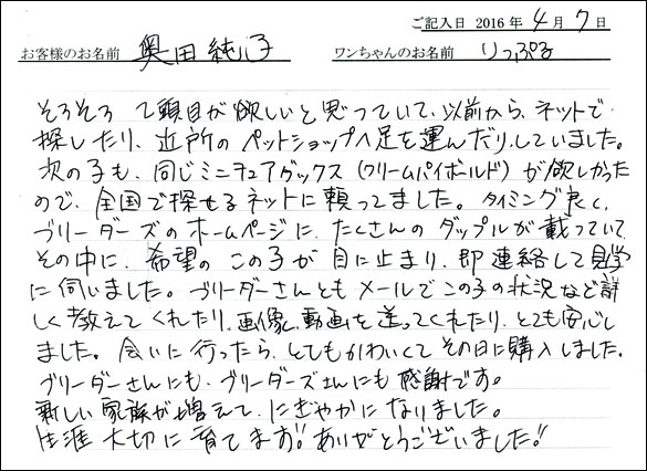 コッカーお客様の声