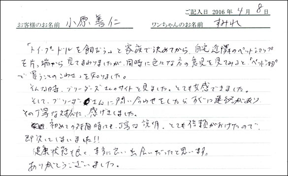 コッカーお客様の声
