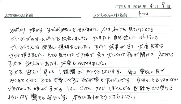 コッカーお客様の声