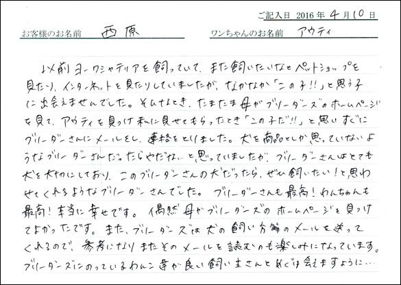コッカーお客様の声
