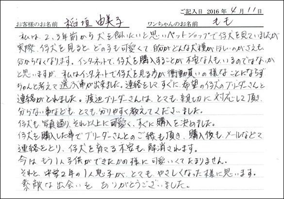 コッカーお客様の声