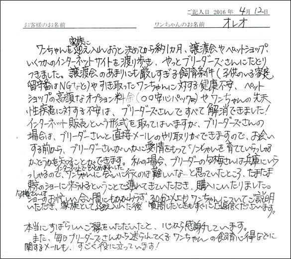 コッカーお客様の声