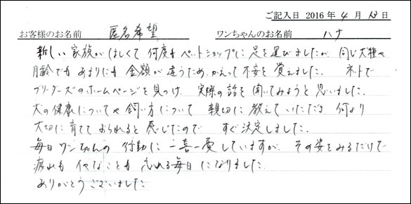 コッカーお客様の声
