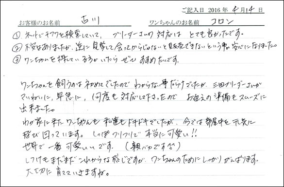 コッカーお客様の声