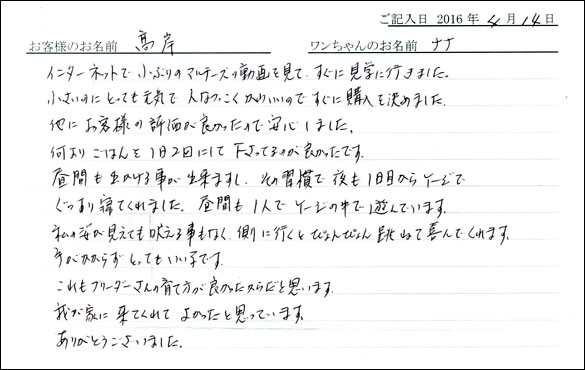コッカーお客様の声