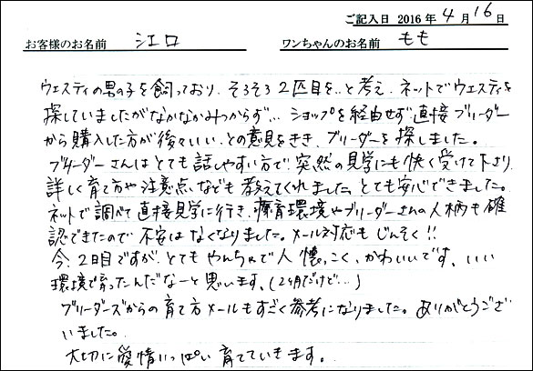 コッカーお客様の声