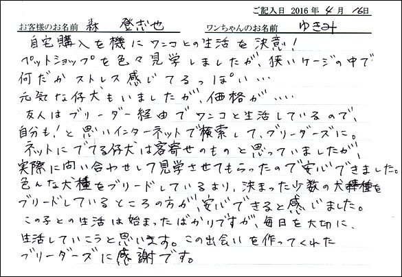 コッカーお客様の声