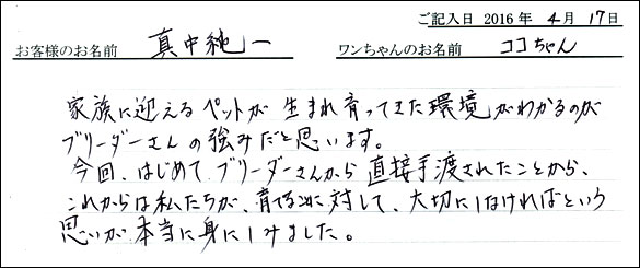 コッカーお客様の声