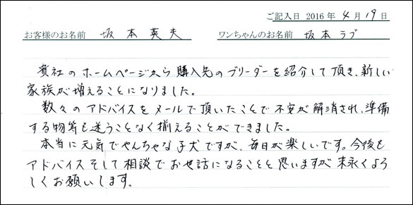 コッカーお客様の声