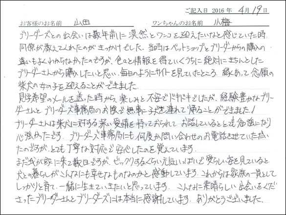 コッカーお客様の声