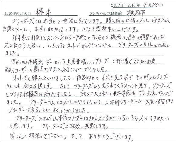 コッカーお客様の声