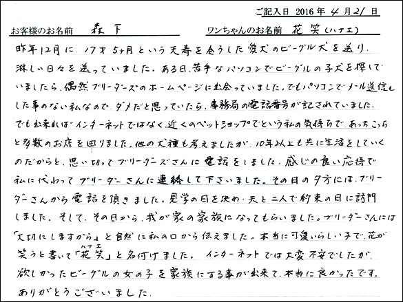 コッカーお客様の声