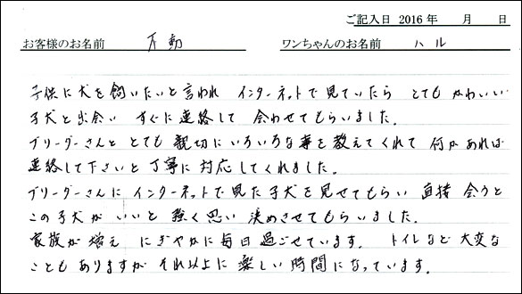 コッカーお客様の声