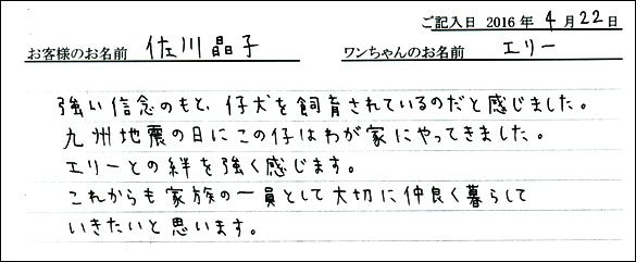 コッカーお客様の声