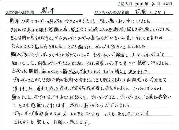 コッカーお客様の声