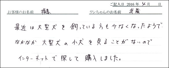 コッカーお客様の声